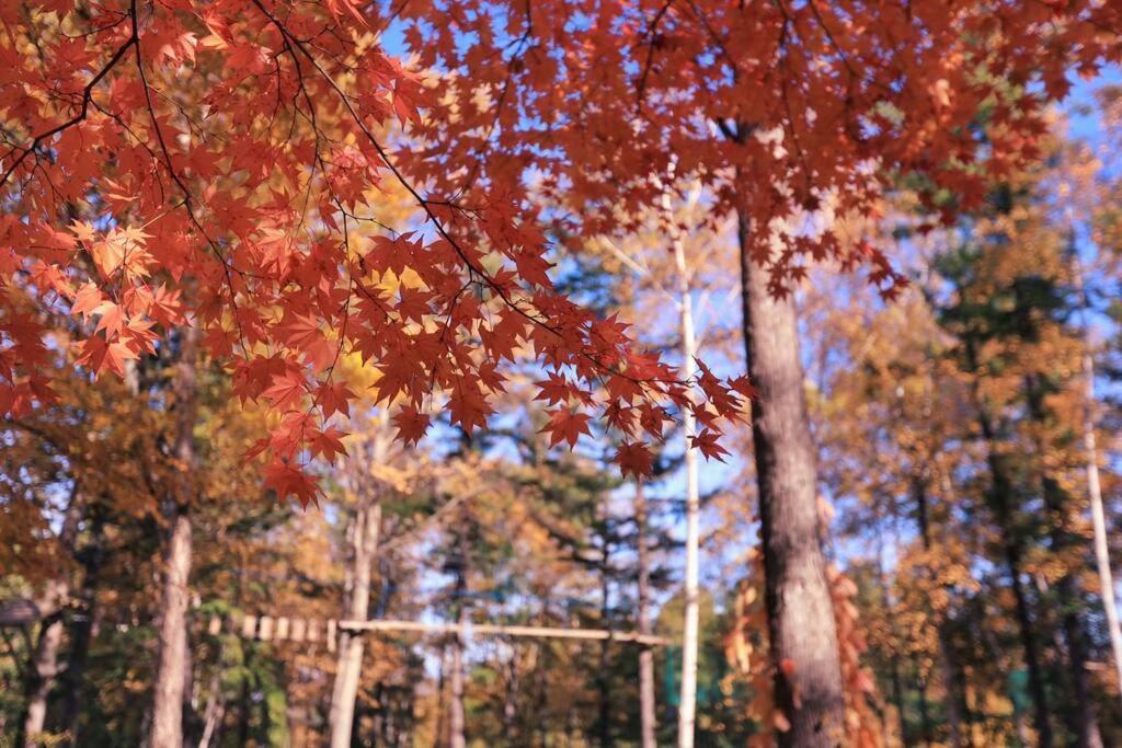 Furano Cube Sugar-方糖民宿,步行8Min到雪场,3 Brs,Max 6Ppl Exterior photo